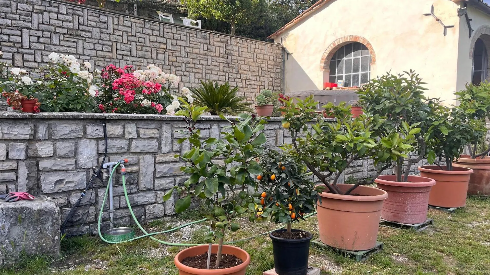 Il Patio Di Anghiari - Bella Vista E Relax Apartment Italy